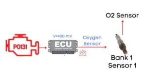 Bot Verification