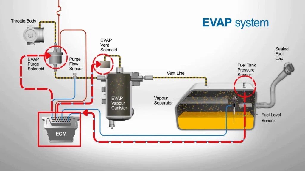 How To Fix P0455? | Evaporative emission (EVAP) system -large leak