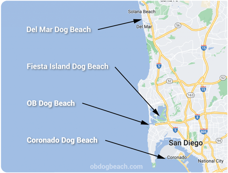 Ocean Beach Dog Beach Info Center