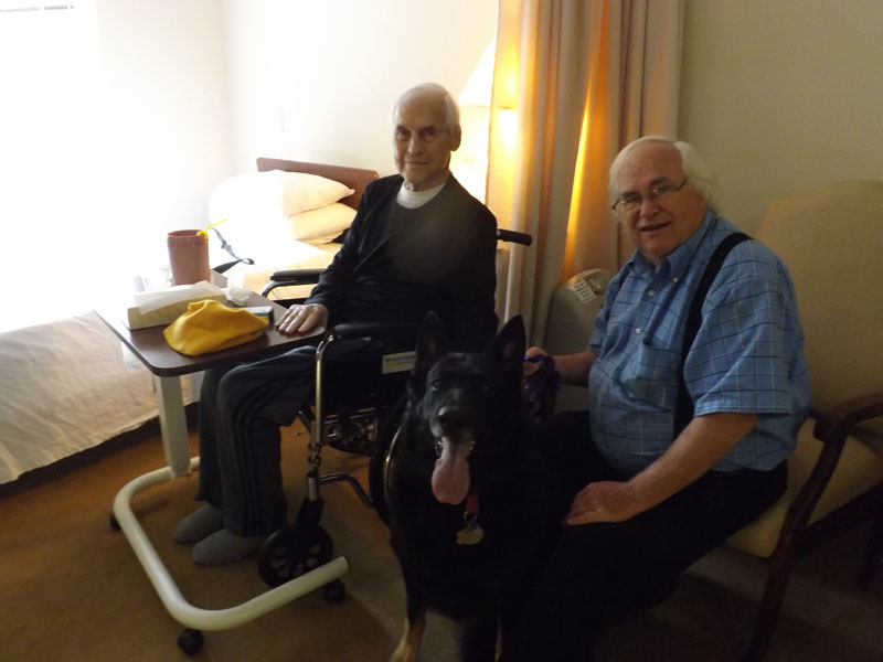 Services Dog Training Cleveland Ohio A Mann's Best Friend