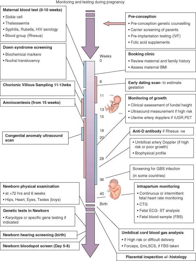 1 Fetal wellbeing and adaptation at birth Obgyn Key