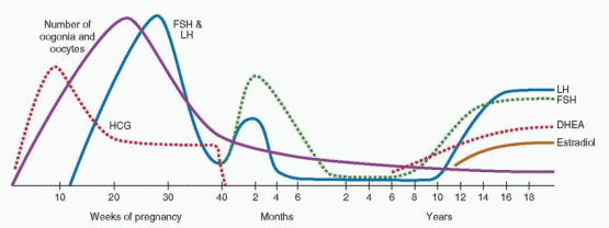 Normal and Abnormal Growth and Pubertal Development Obgyn Key