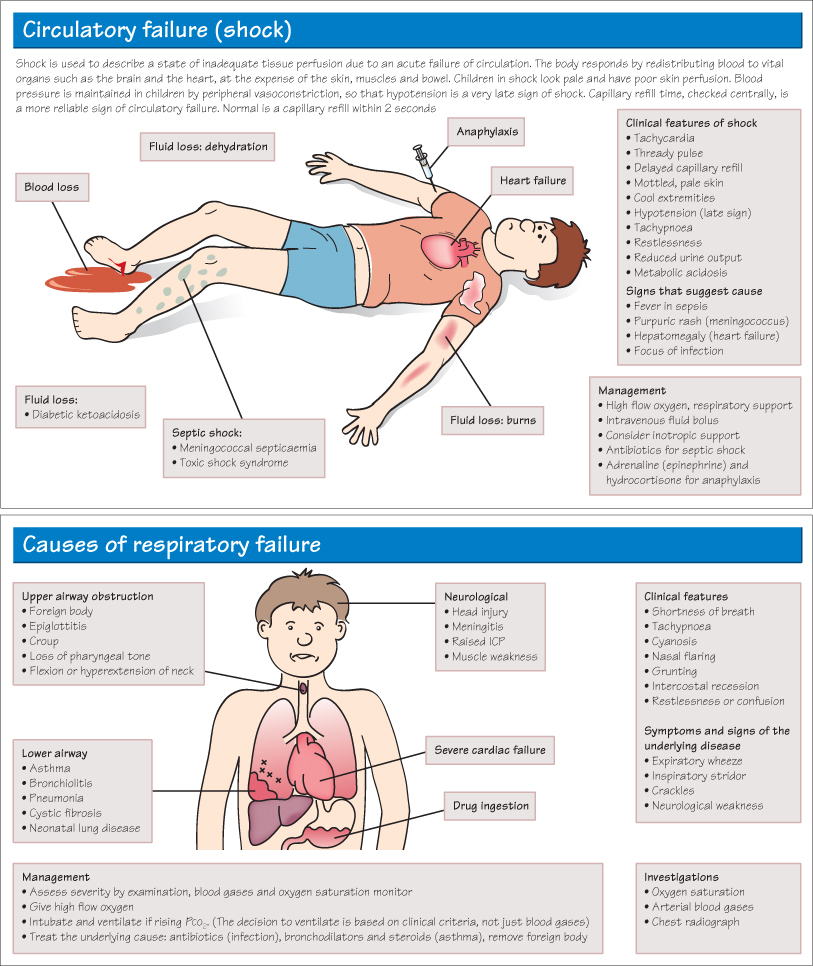 Assessing the acutely ill child Obgyn Key