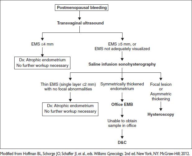 GYNECOLOGY Obgyn Key