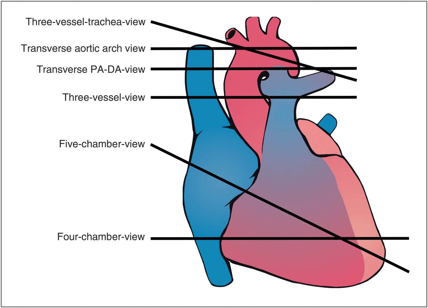 ECG Learning Center An introduction to clinical.