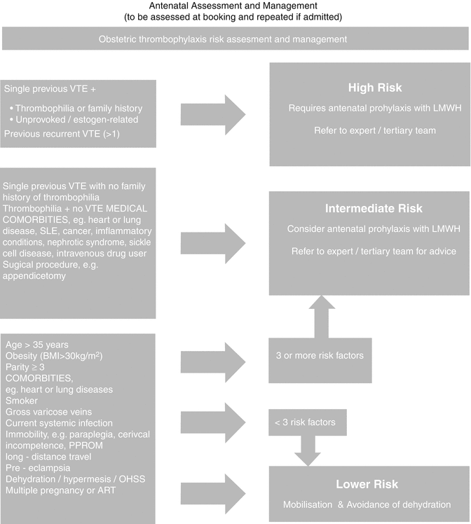 DVT and Pregnancy Obgyn Key