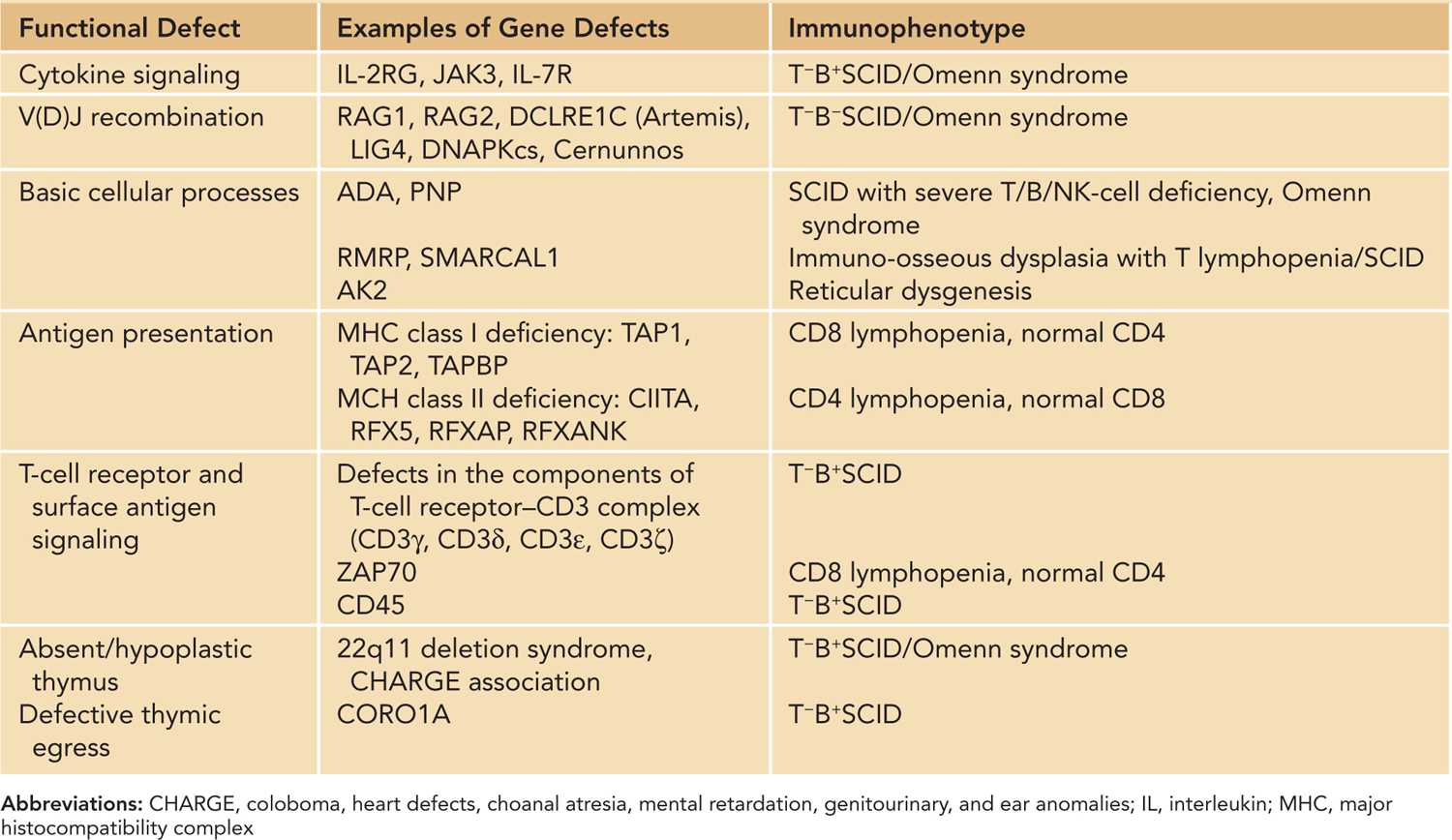 Thymic Aplasia and TCell Disorder Obgyn Key
