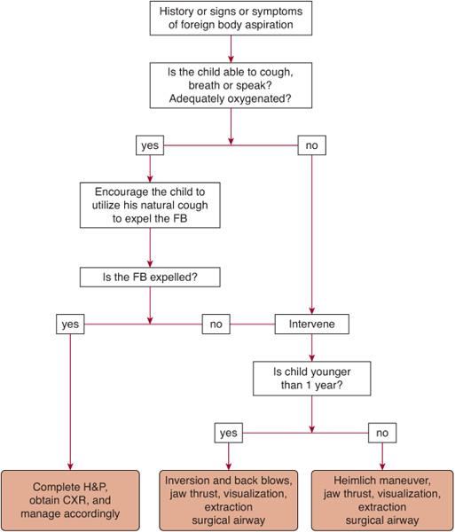. ForeignBody Aspiration Obgyn Key