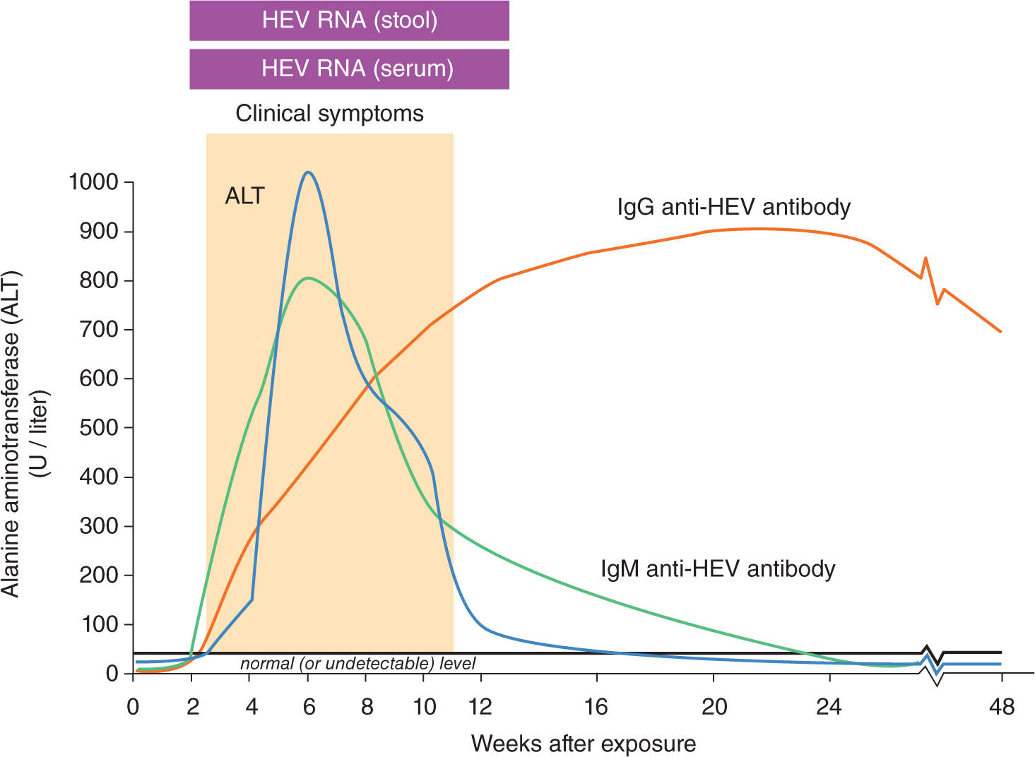 Hepatitis Obgyn Key