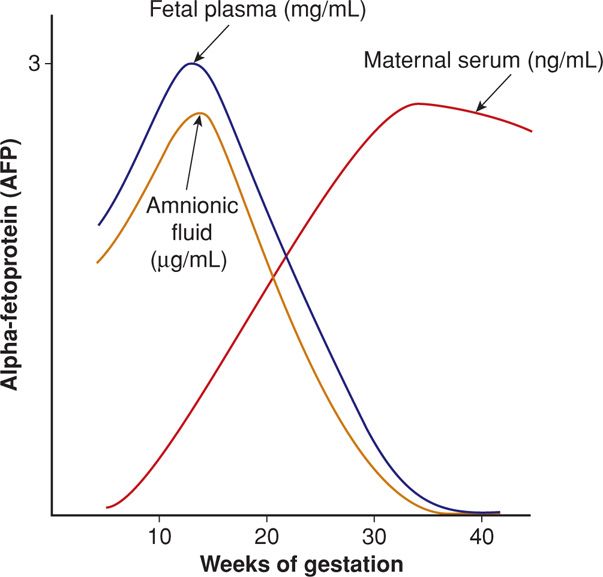 Prenatal Diagnosis | Obgyn Key