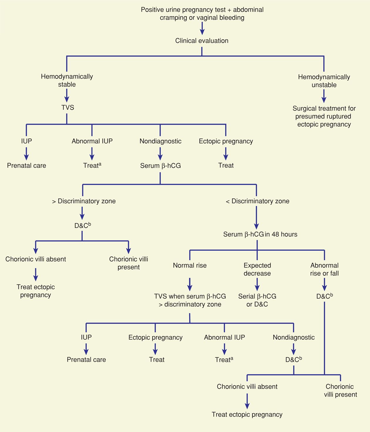 Ectopic Pregnancy Obgyn Key