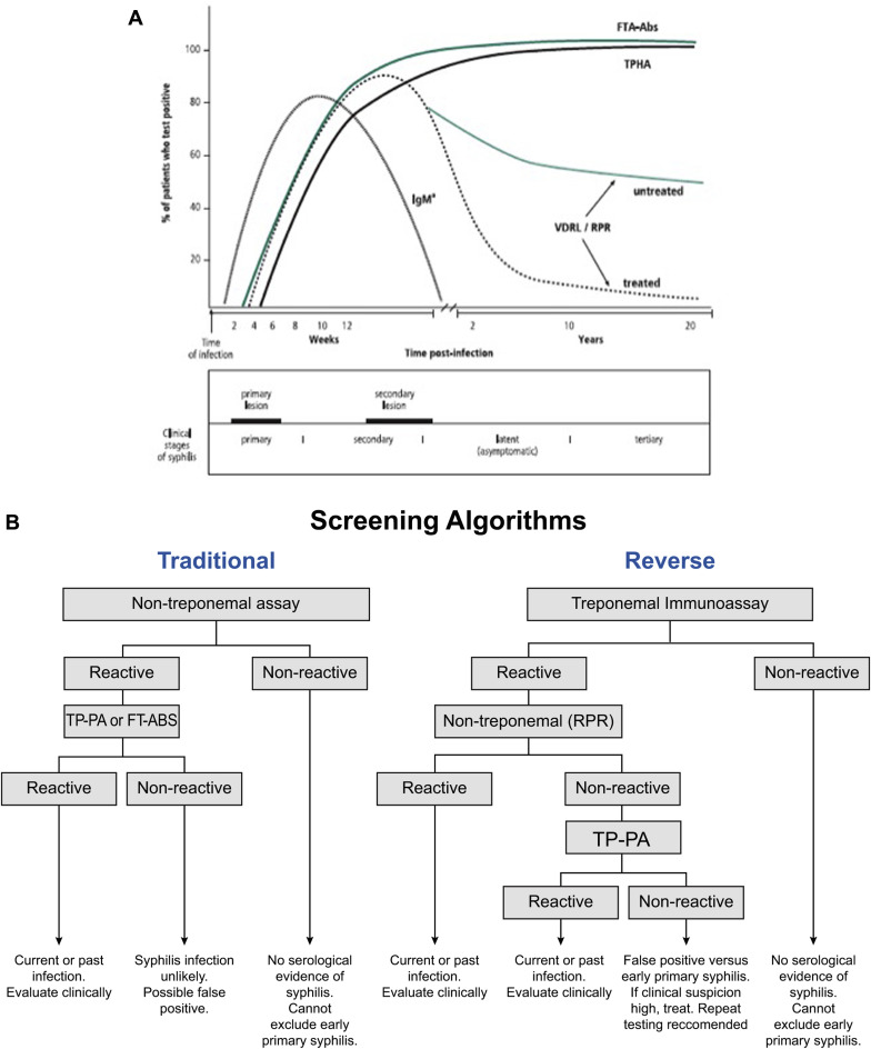 Syphilis during pregnancy a preventable threat to maternalfetal