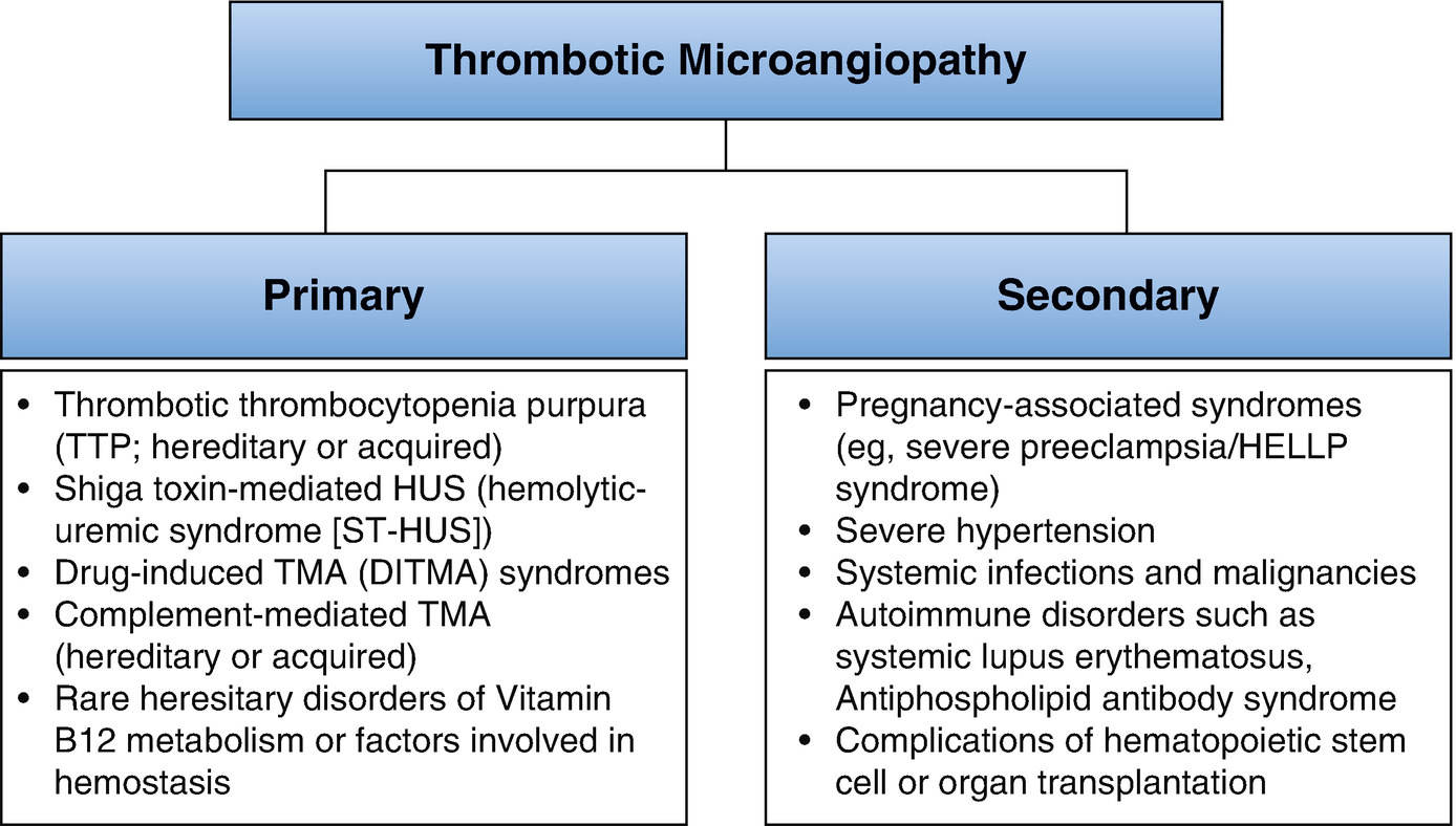 Kidney Injury During Pregnancy Obgyn Key