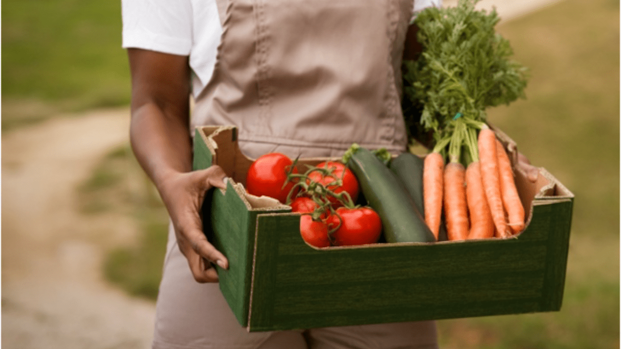 Now Organic Farms Plants Seeds for a WasteFree Future OBIAA