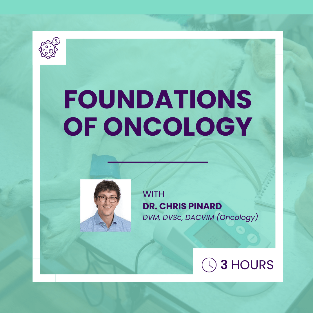 Foundations of Oncology Obi Veterinary Education