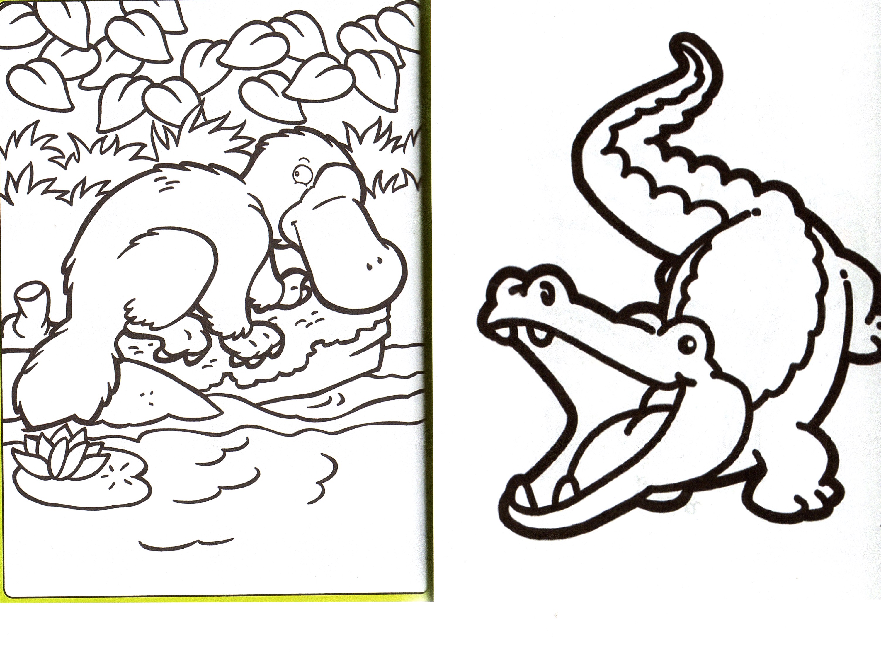 Coloriages Objectifcairns Coloriages Objectifcairns