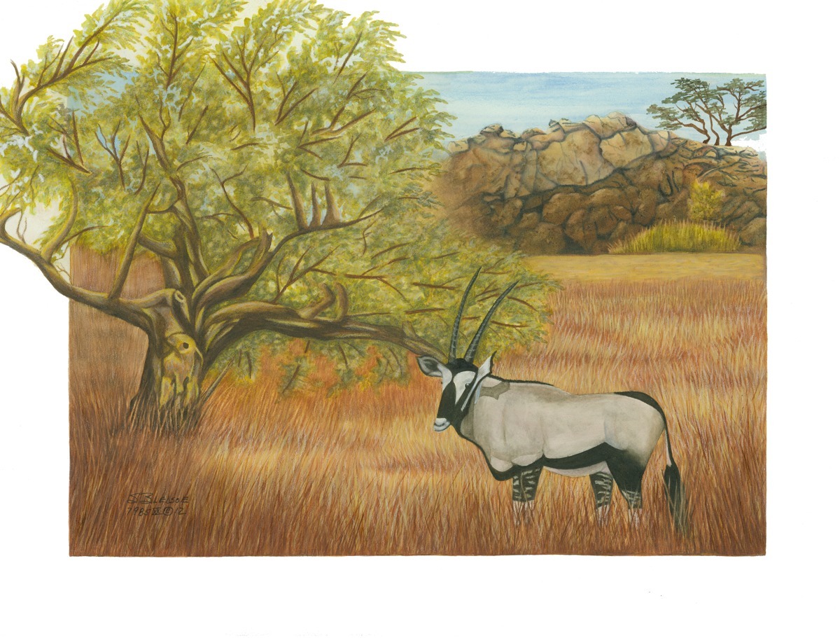 Painting "Namibian Landscape" (Original art by Sheila Bledsoe)