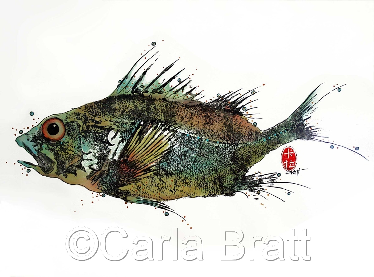 Printmaking "Pacific Rockfish" (Original art by Carla Bratt)