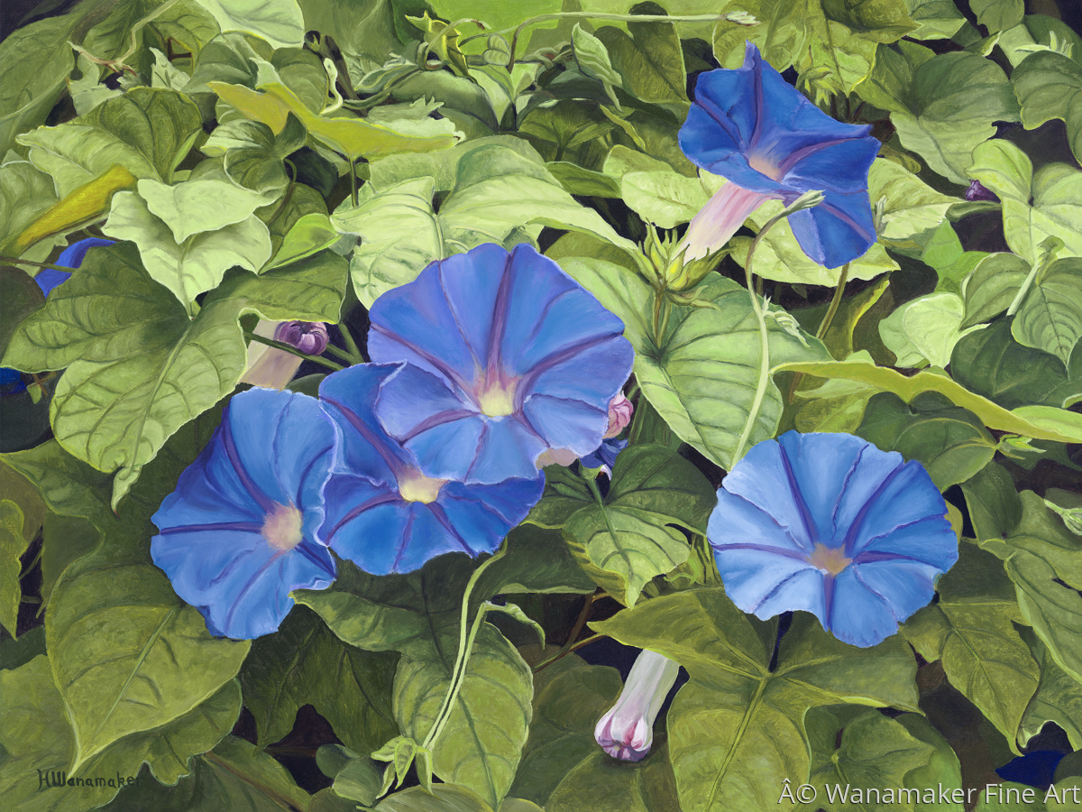 Painting "Good Morning, Morning Glory" (Original art by Wanamaker