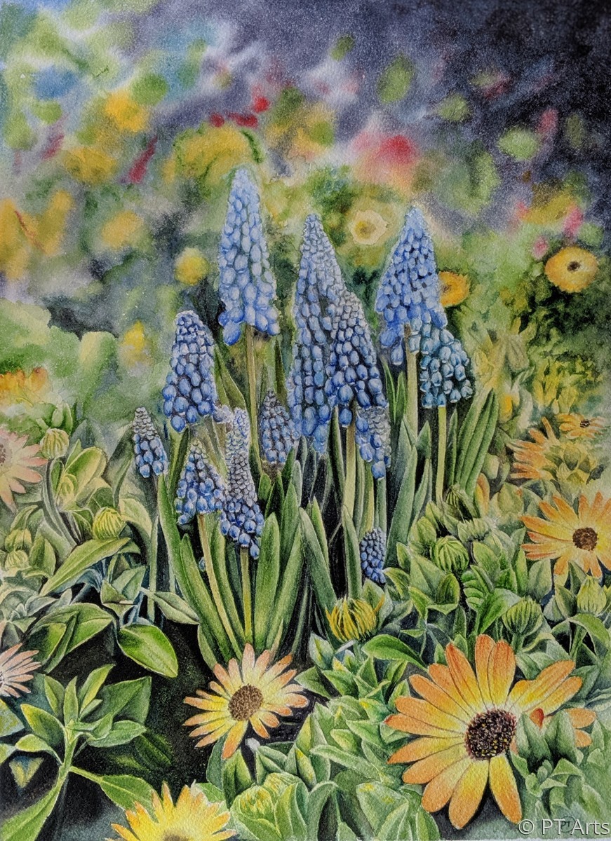 "Watercolor Hyacinth" (Original art by PT Arts)