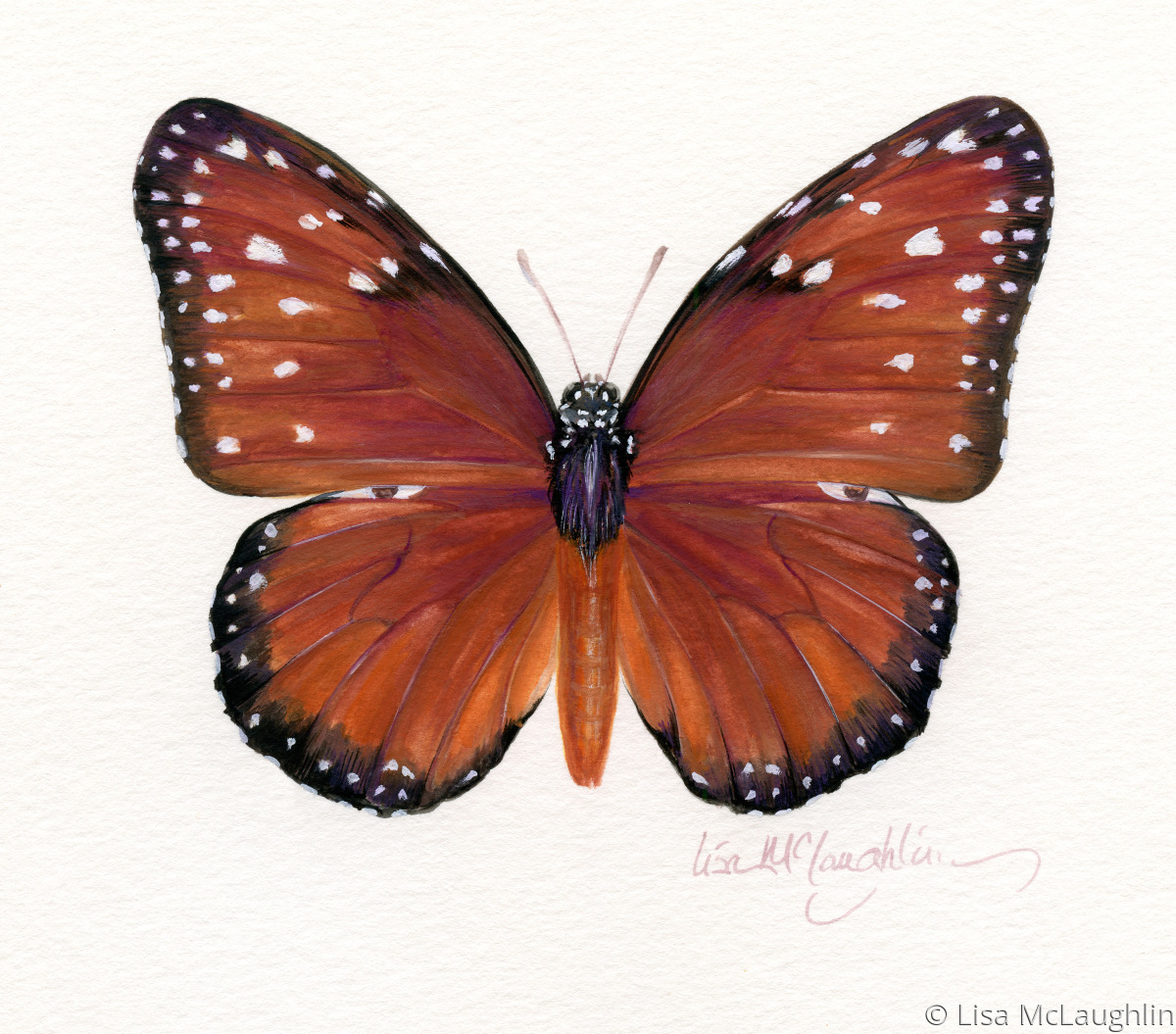 Painting "Queen Butterfly" (Original art by Lisa McLaughlin)