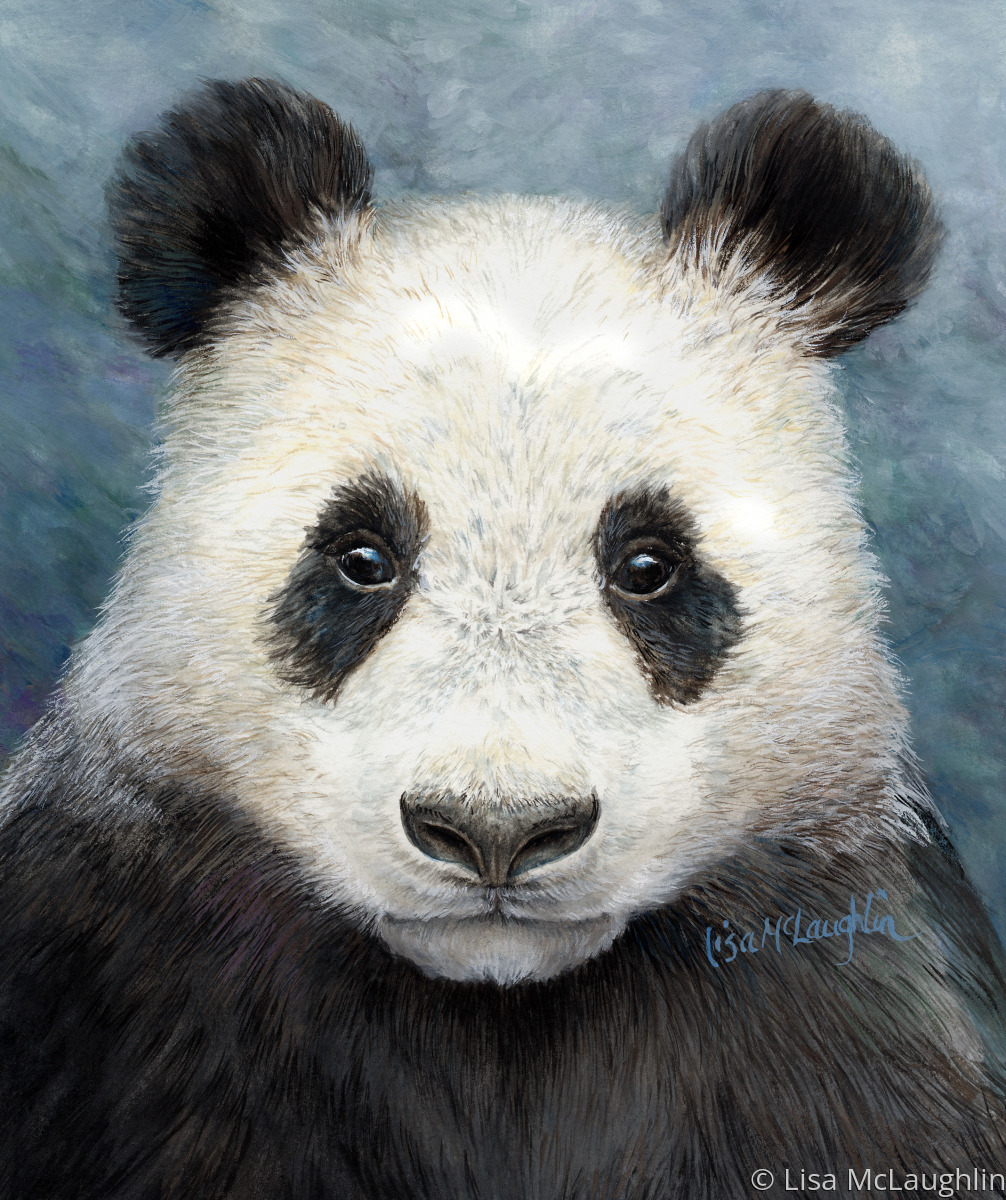 Wildlife Watercolor Paintings Panda Bear by Lisa McLaughlin