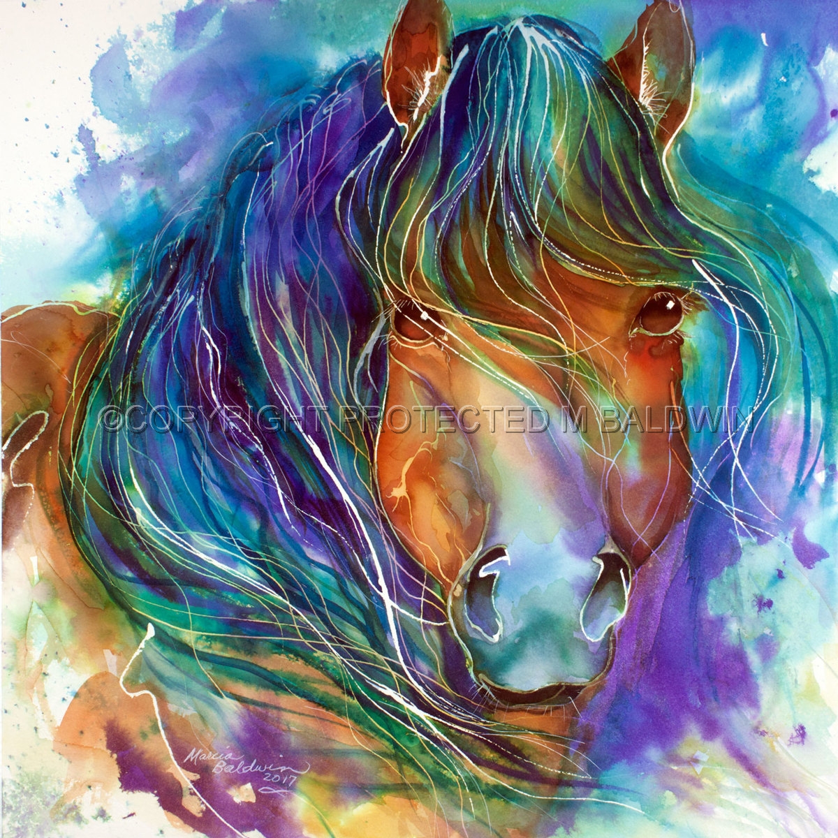 Fine art originals by Marcia Baldwin