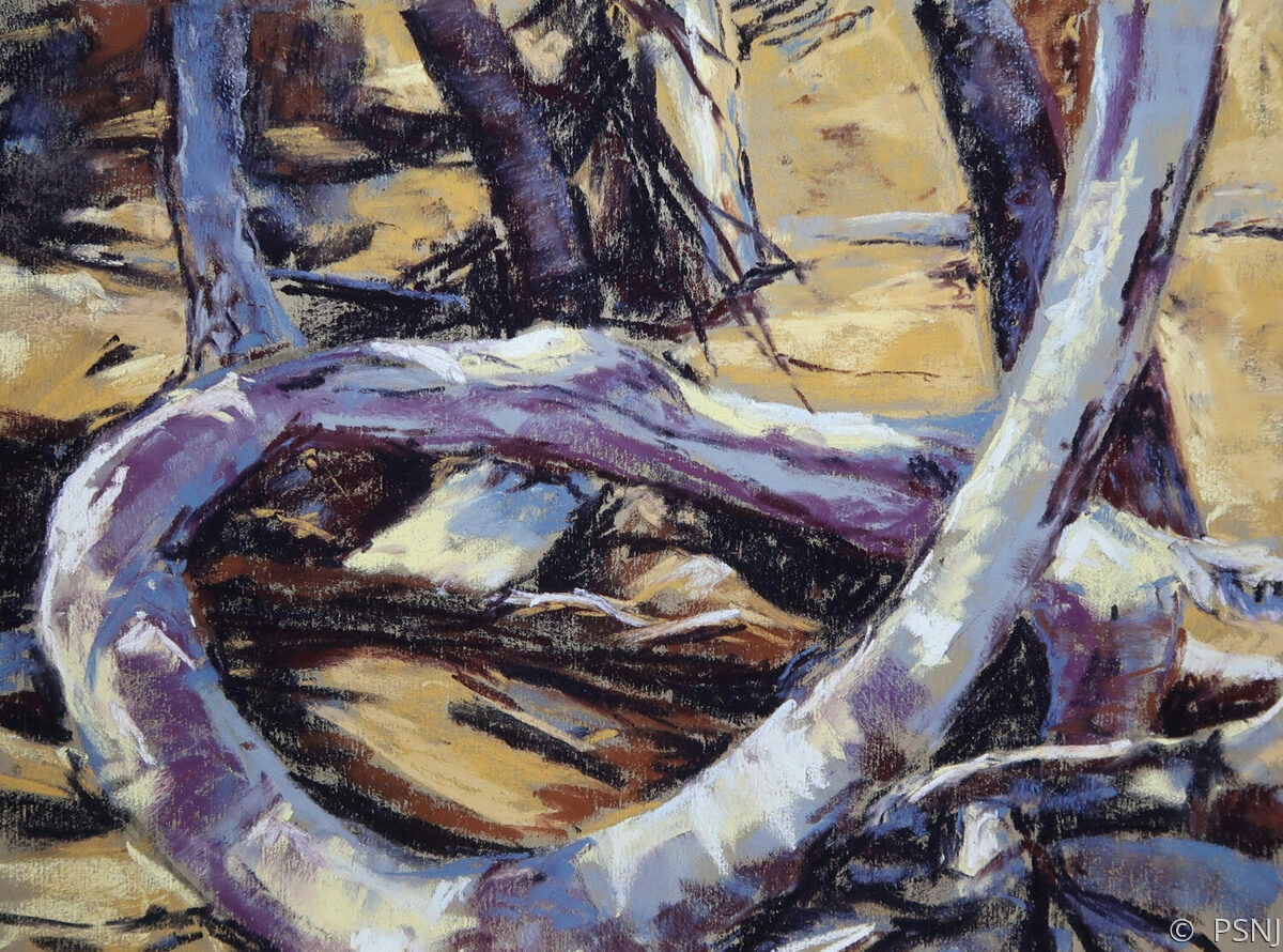 "Blick Art Materials Award Anita Gladstone" (Original art by Pastel