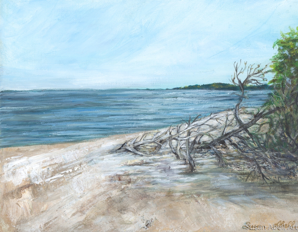 Impressionist Acrylic Paintings Driftwood Beach by Susan Abell Art