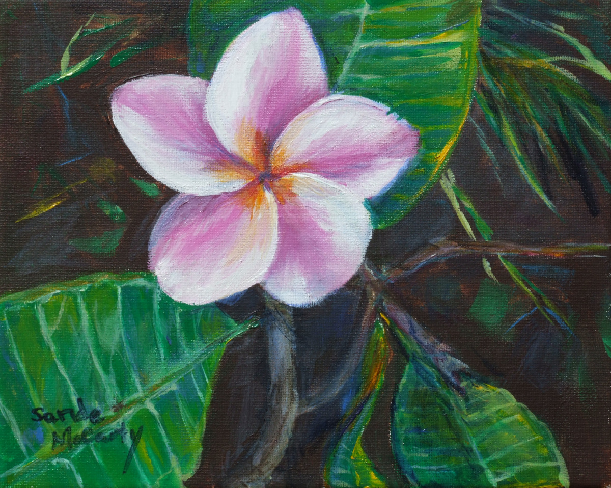 Floral Acrylic Paintings Pink and White Plumeria by Sande McCarty Fine Art