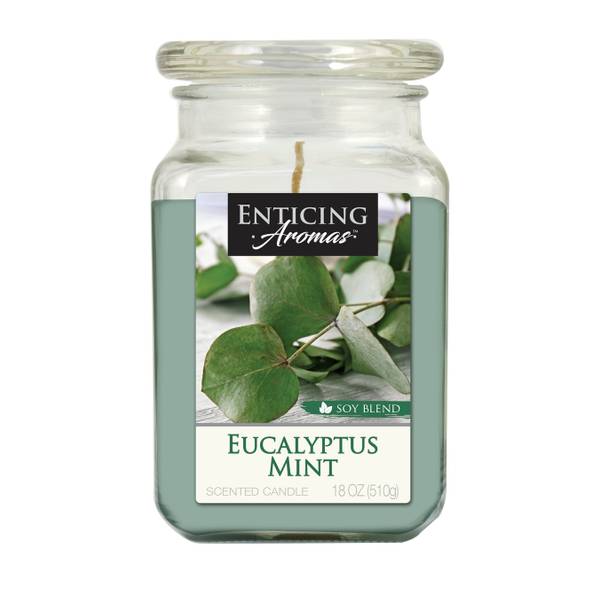 Enticing Aromas Eucalyptus Mint Candle 67213 Blain's Farm & Fleet
