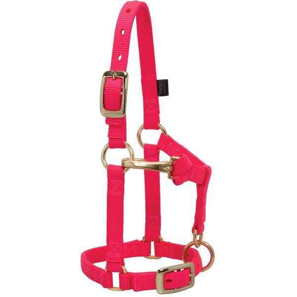 Weaver Leather Mini Horse Halter, Diva Pink 354800DP Blain's Farm