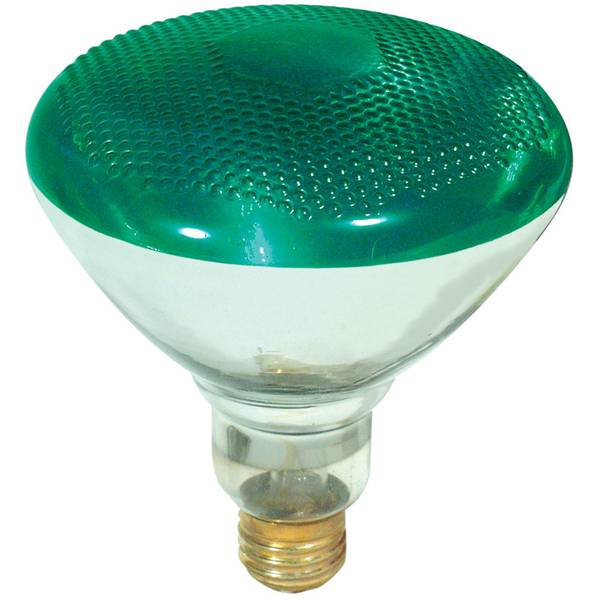 FEIT Electric 100Watt Green PAR38 Outdoor Floodlight 100PAR/G/1