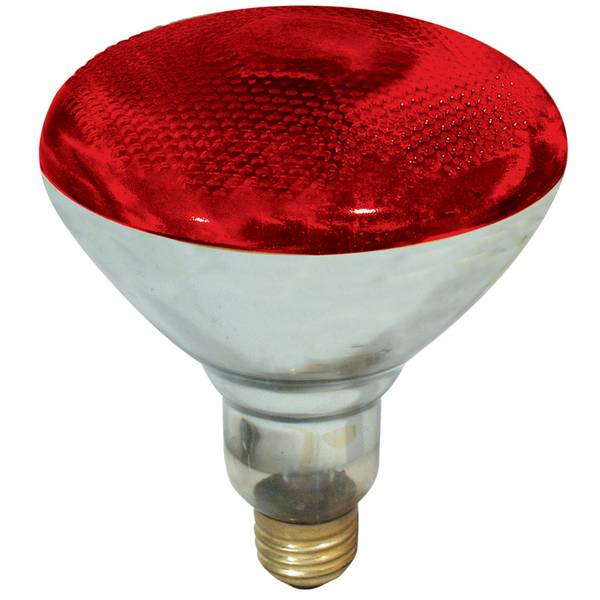 FEIT Electric 100Watt Red PAR38 Outdoor Floodlight 100PAR/R/1