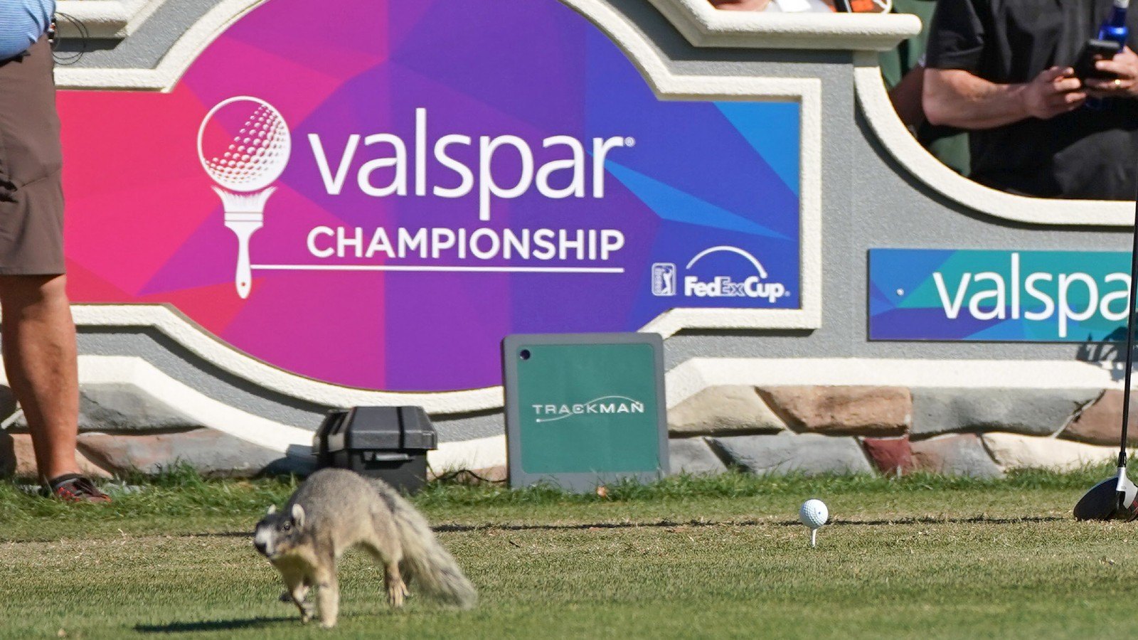 Valspar Championship Odds, Betting Tips & Expert Predictions