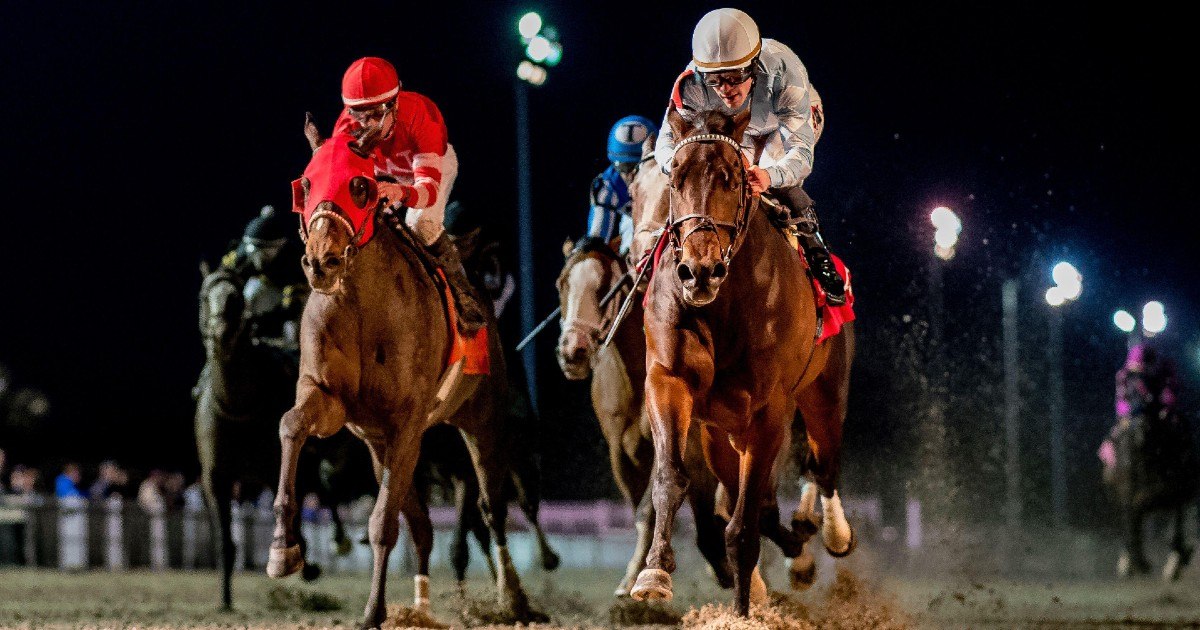 Ranking the Most Important Kentucky Derby Prep Races