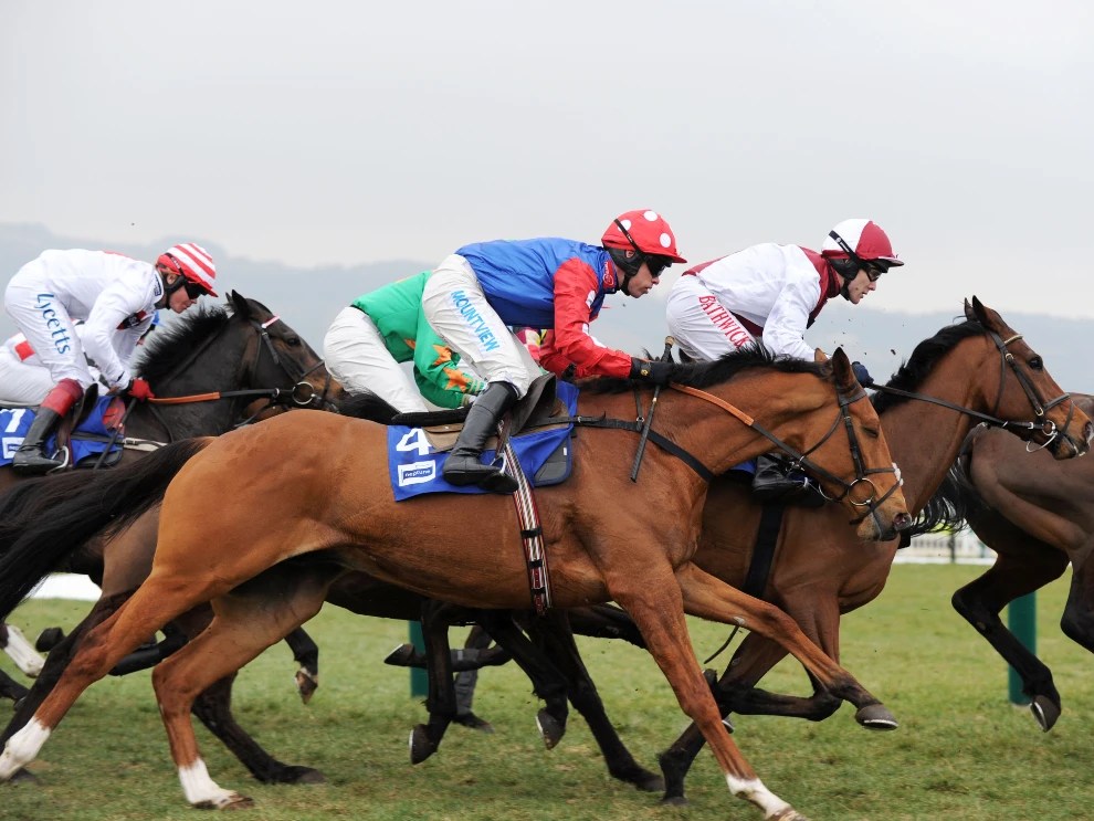Cheltenham Free Bets Top Free Bet Cheltenham Offers 2024