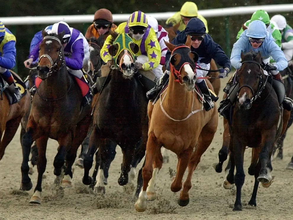 Horse Racing Tips Today Free Racing Tips Today