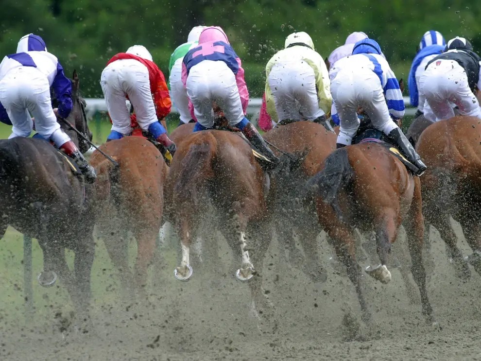 Horse Racing Tips Today Free Racing Tips Today