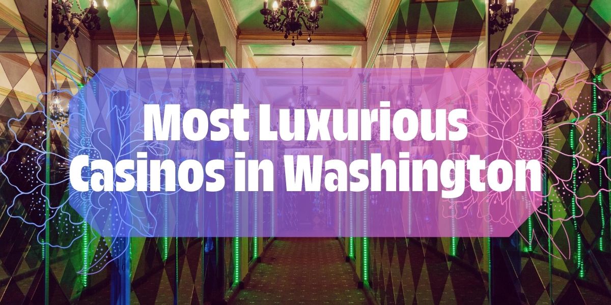 Discover Washington’s Most Luxurious Casinos in Our Guide