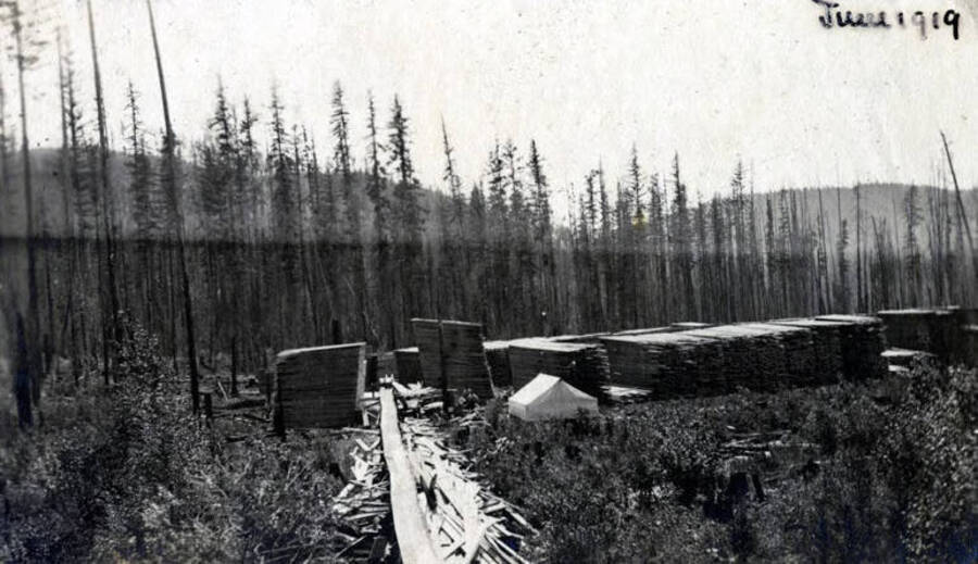 Schmidt Brothers Lumber Co. lumber yard and flume. Eileen, Idaho