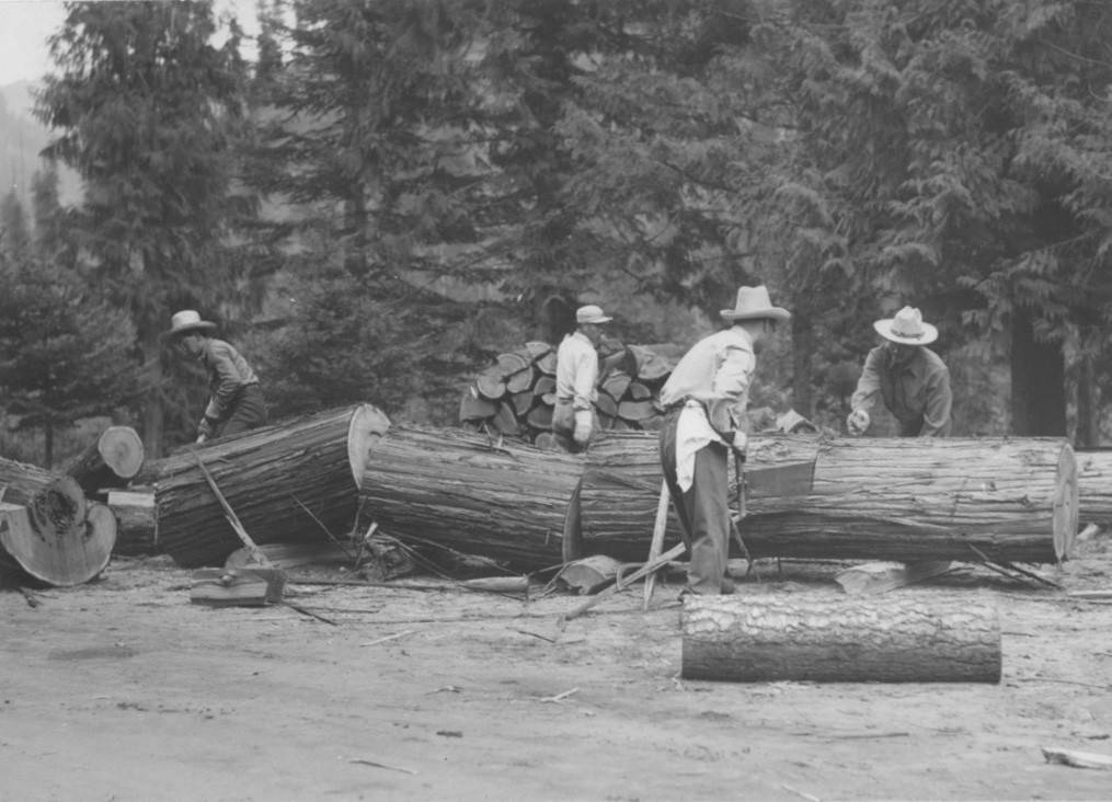 Sawing wood at Kooskia Moving Forward While Looking Back