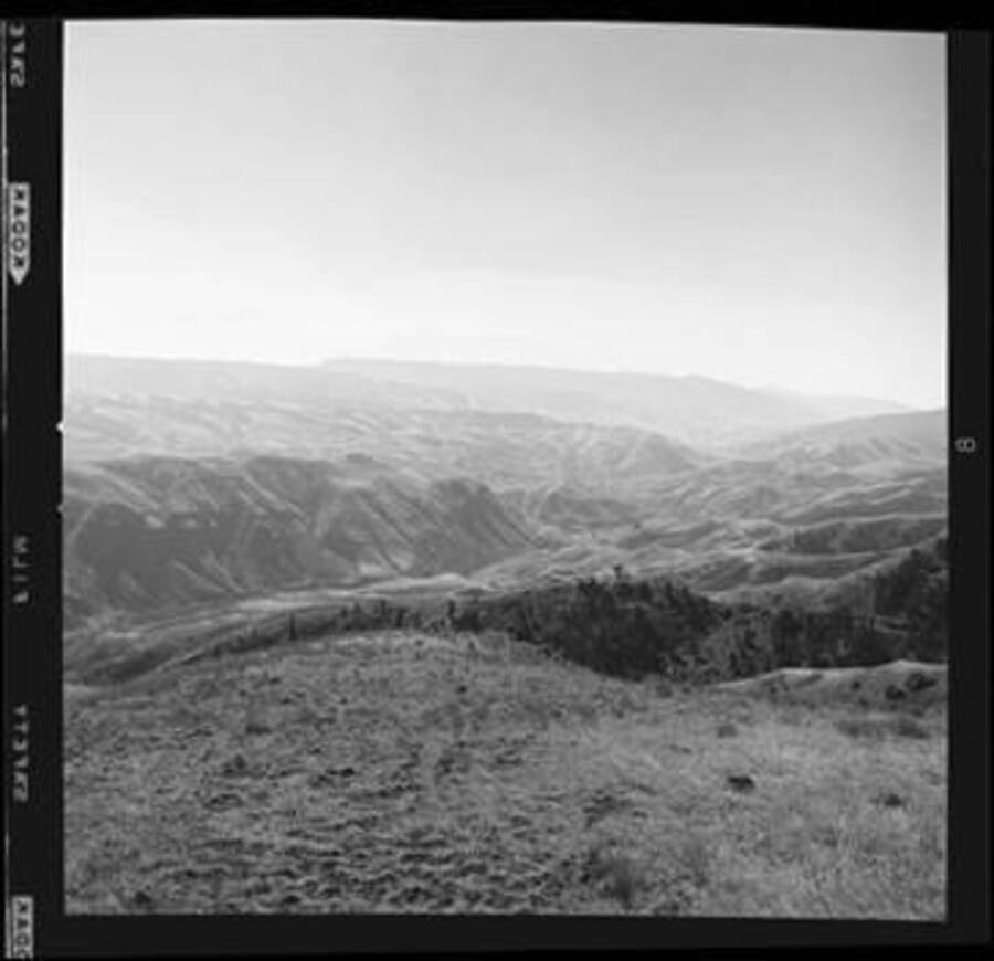 White Bird (Idaho), 1960 [9] Kyle Laughlin Photograph Collection