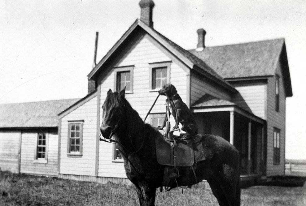 Summerfield homestead [02] Ott Historical Photograph Collection