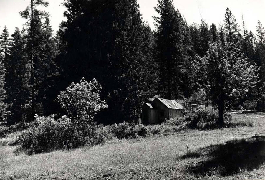 Gold Creek area, site of Post Office Ott Historical Photograph Collection