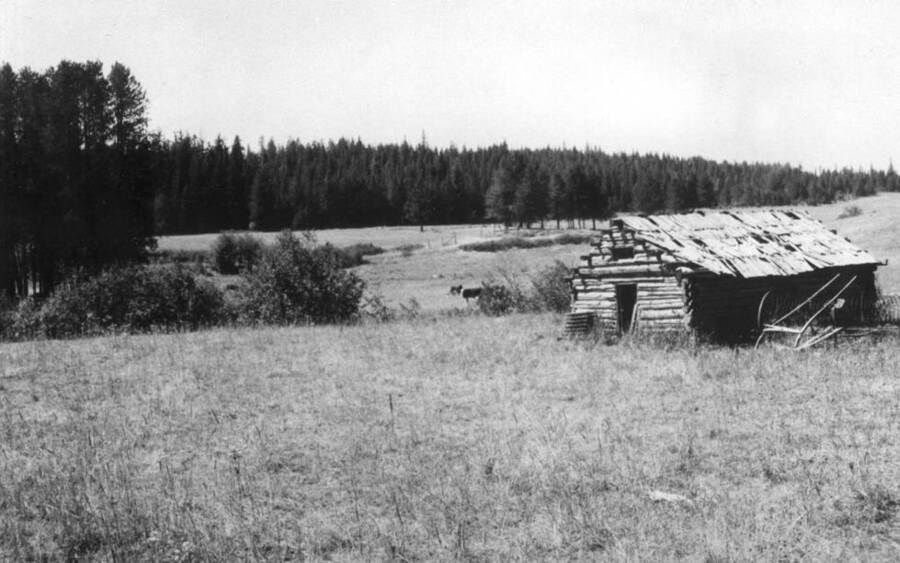 Cabin used as post office in Woodfell, Idaho Ott Historical