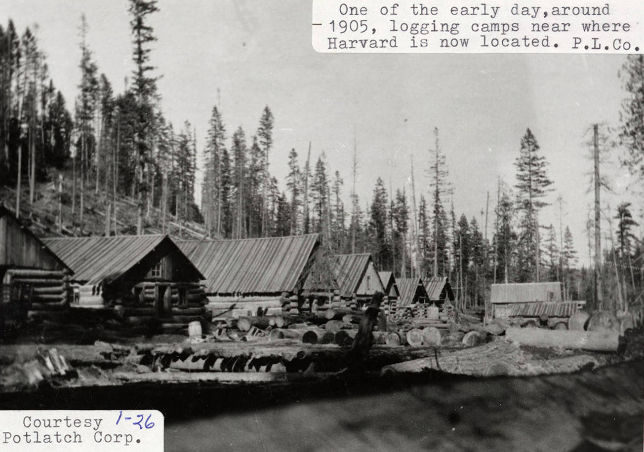 Logging Camp Potlatch Historical Society Collection