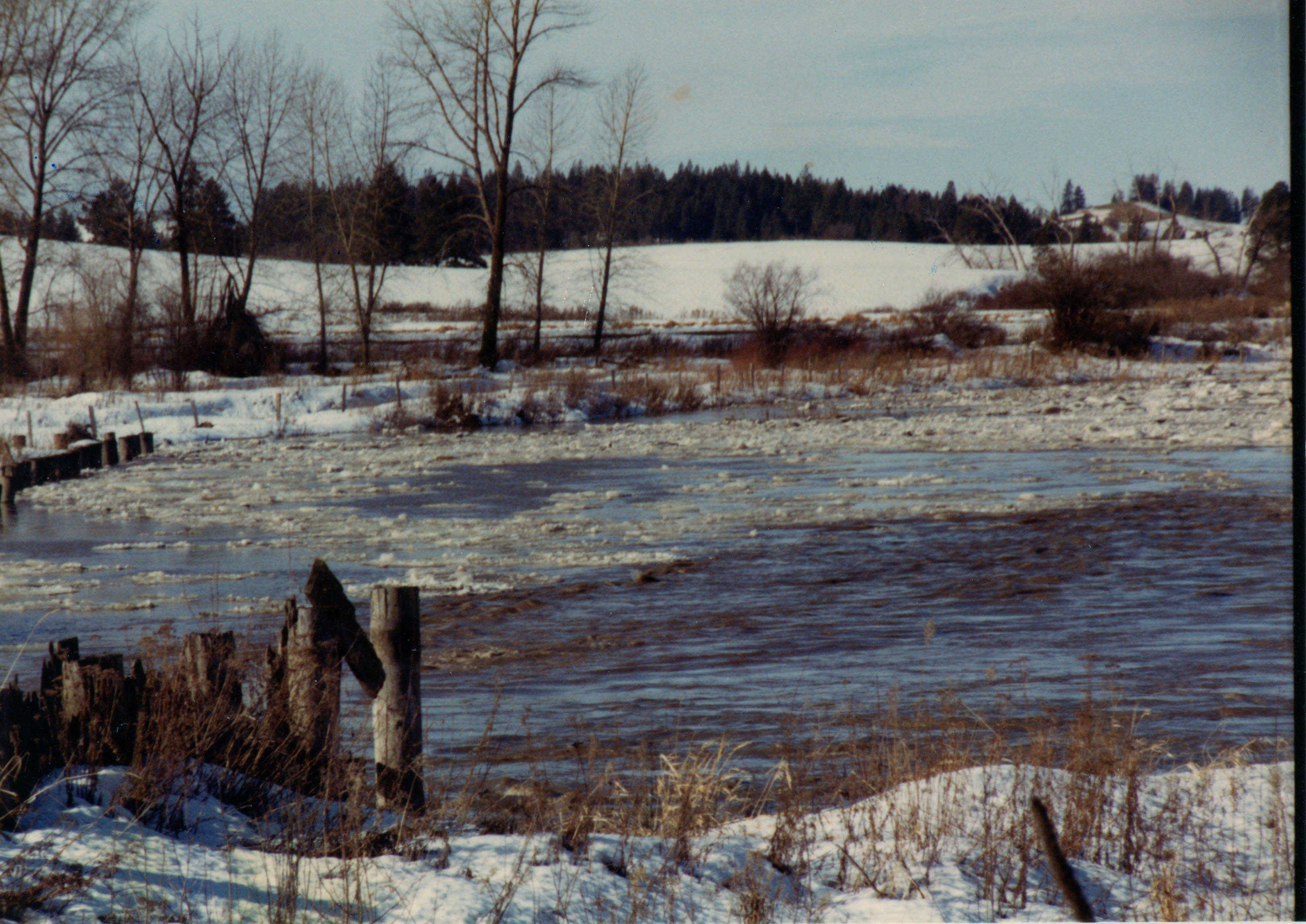 Palouse River flood Potlatch Historical Society Collection