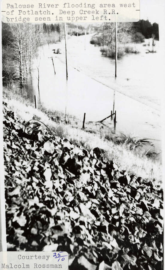 Palouse River Flooding Area Potlatch Historical Society Collection