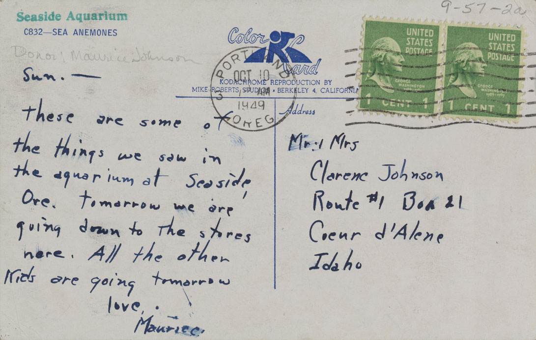 Seaside Aquarium Northwest Historical Postcards Collection